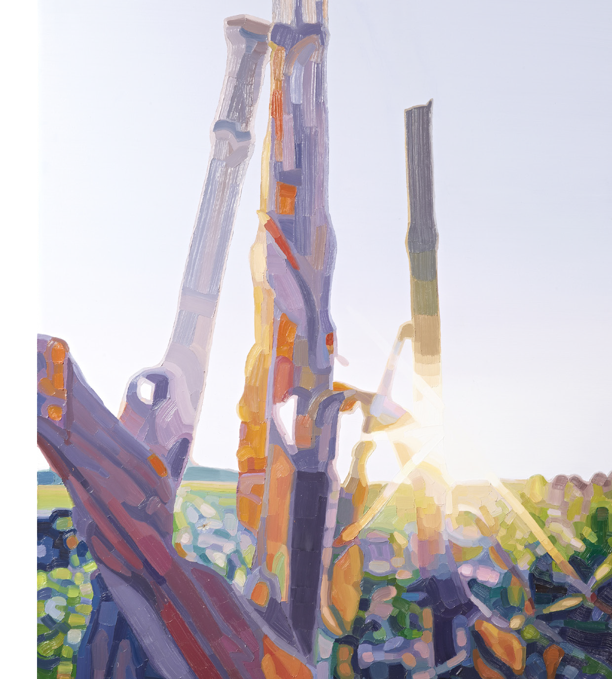 Man sieht das Cover eines Magazins. Auf dem Bild ist ein Grasfeld zu sehen