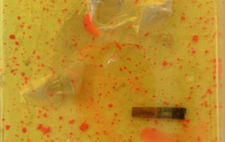 Müll befindet sich hinter einer Glaswand