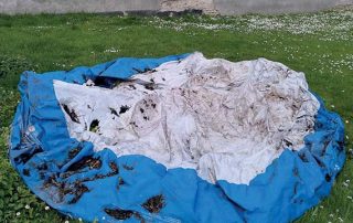 Auf einer Rasenfläche befindet sich ein kaputter Pool.