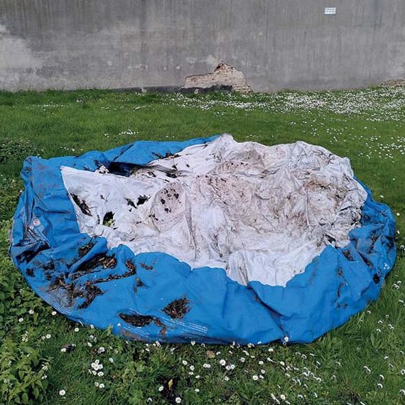 Auf einer Rasenfläche befindet sich ein kaputter Pool.