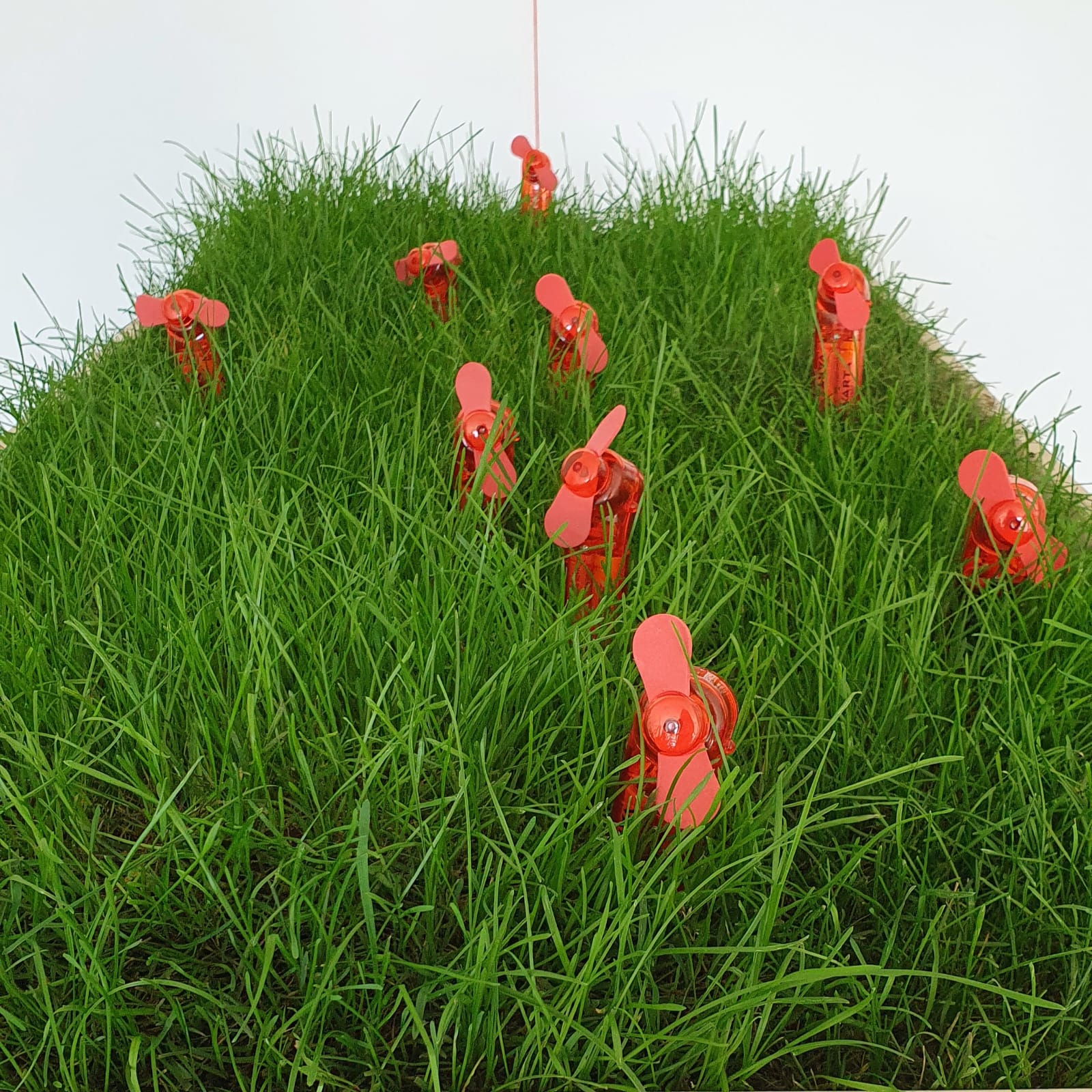 Eine Grasfläche mit roten Handventilatoren