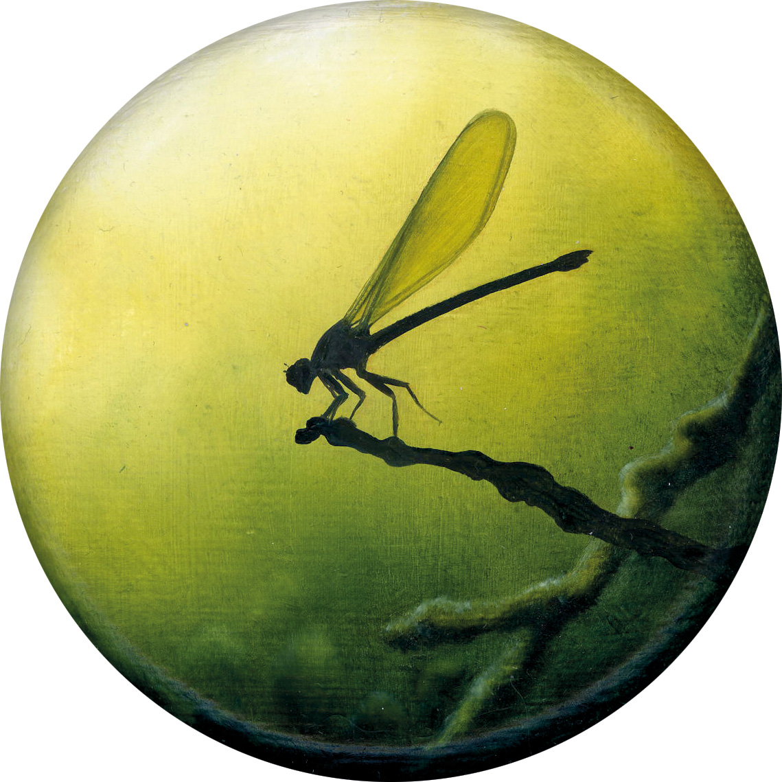 204, 2025, Ø 10 cm, Öl auf Leinen